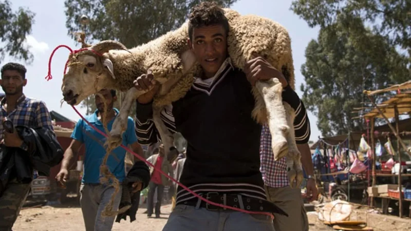 Moroccans to observe Eid-ul-Azha