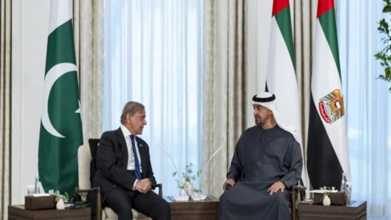 PM Shehbaz, UAE President discuss to strengthen bilateral relations