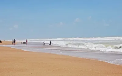 Two friends drown at Hawke’s Bay