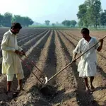 Federal Government introduces digital loan scheme for Pakistani farmers