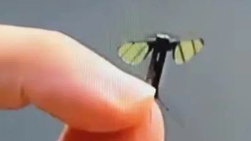 drone