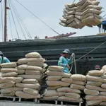 Cement exports rise in the year 2024-25, but Local demand remains weak