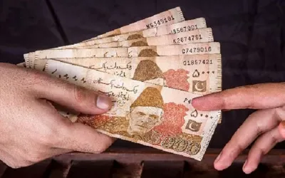 New profit rates on saving accounts, certificates announced
