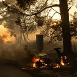 Greek firefighters battle major wildfire on Island of Crete