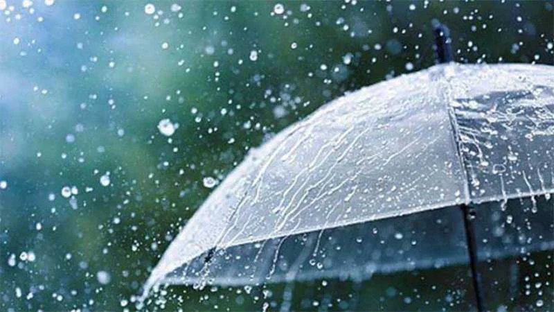 rain