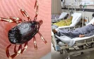 Another congo fever case detected in Karachi