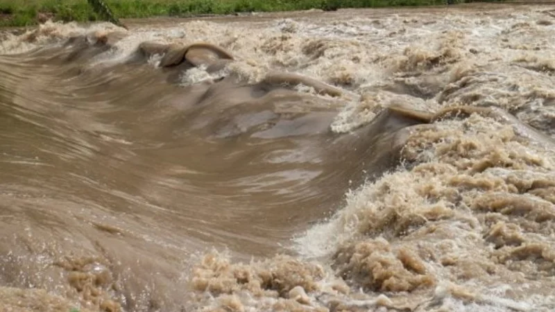 No Dams to save rain for future, Just promises: Pakistan loses rainwater once again