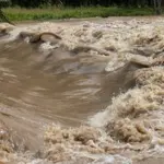 No Dams to save rain for future, Just promises: Pakistan loses rainwater once again