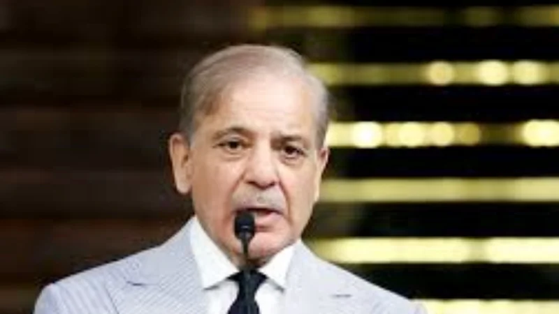 Peace in region linked to Kashmir resolution: PM Shehbaz