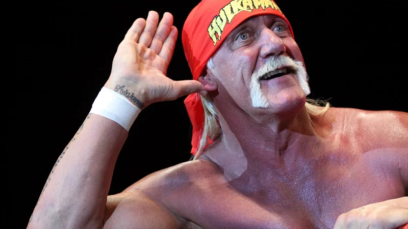 Wrestling champion Hulk Hogan dies at 71