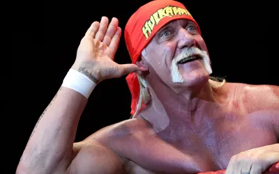 Wrestling champion Hulk Hogan dies at 71