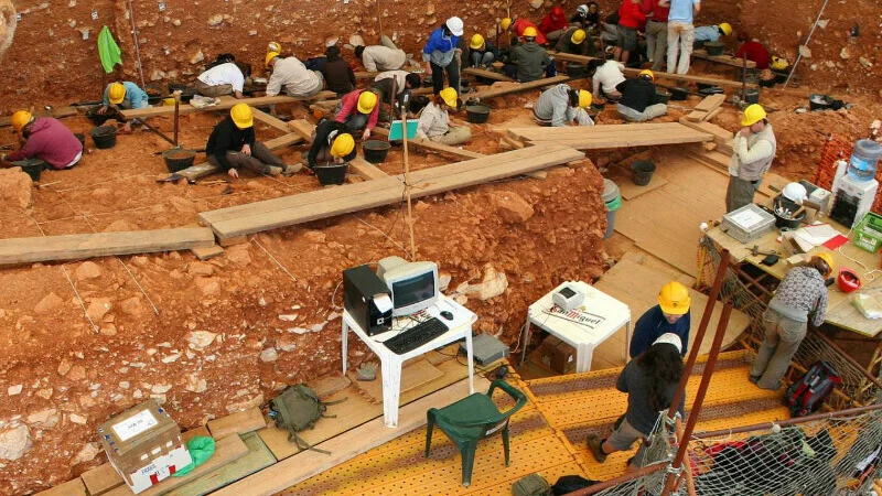 850,000-year-old bones