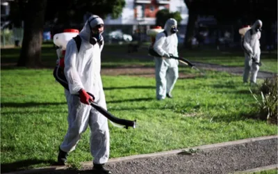 Dengue surge in Argentina which lead to repellent shortage