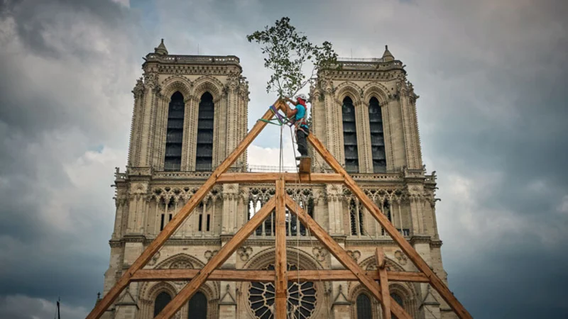 Notre-Dame cathedral edges closer to reopening five years after devastating fire