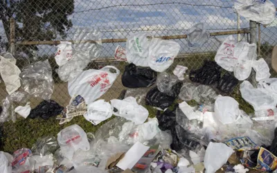 Punjab set to ban plastic bags from June 6