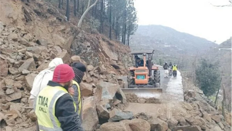 36 people die due to rain related incidents in KP
