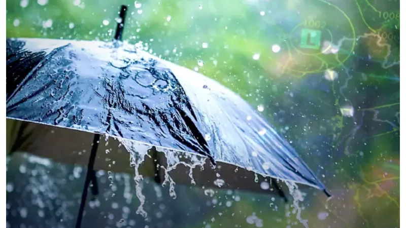 PDMA Predicts Widespread Rain in Punjab Starting April 23rd