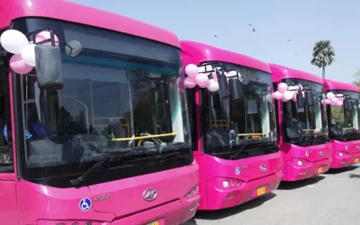 Free Travel for Women on Karachi's Pink Bus Service