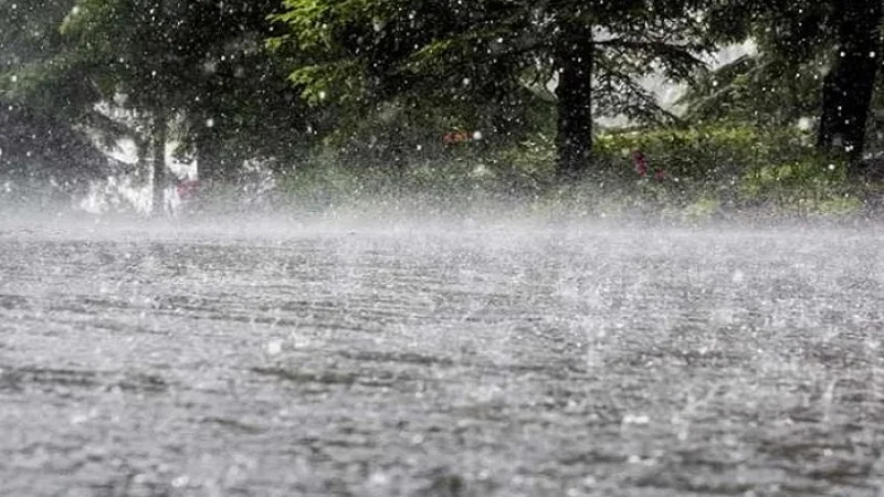 New spell of rain likely to start in KP on April 24