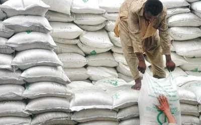 Big Drop In Flour Prices - Check Latest Price