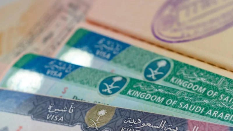 Saudi Arabia launches student visa program