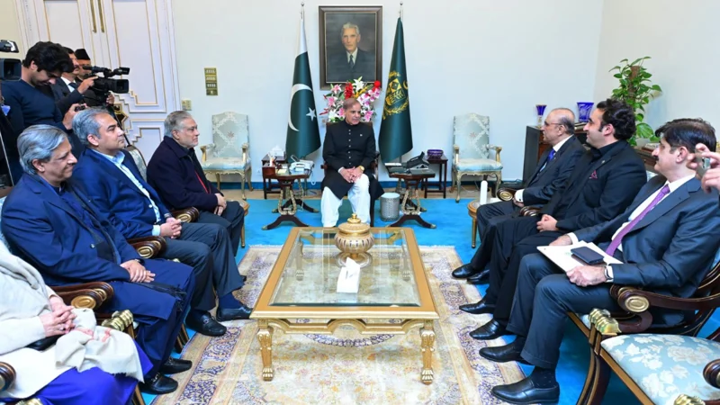 PPP delegation assures support to govt for economic stability
