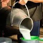 District Administration Announces Milk & Yogurt Prices in Pakistan 2024