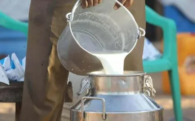 Milk, Yogurt Rates in Lahore for Ramadan 2024