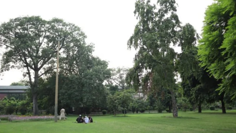 Islamabad, Rawalpindi Face Heatwave with Temperatures 3-5°C Above Normal