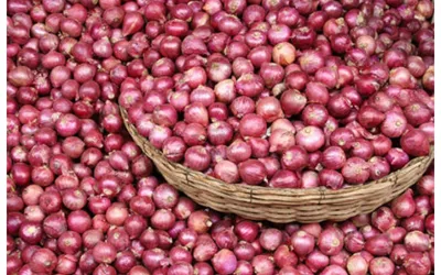 Vegetables Prices Drop in Ramadan: Tomato & Onion Prices Decreased
