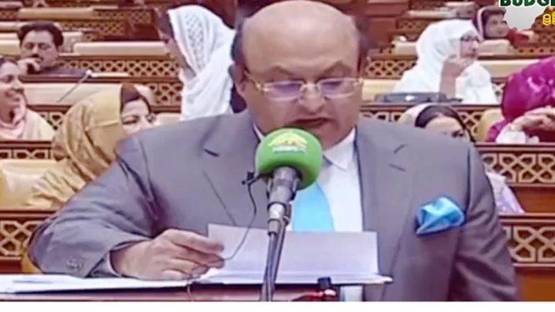 Punjab unveils budget worth over Rs4480bn