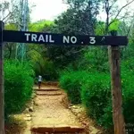 CDA closes all hiking trails due to Parade Day