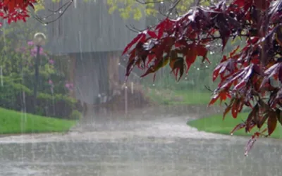 Heavy Rainfall Expected in Pakistan's Last Ashra of Ramadan