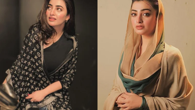 Nawal Saeed shares concern over Gulzaib's excessive makeup in her latest drama