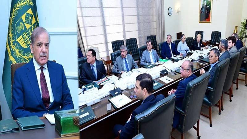 Shehbaz says complete security will be ensured for Reqo Dik project