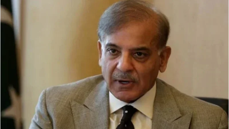 PM Shehbaz expresses dismay over increase in gas prices