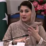 CM Punjab orders crackdown against chemical string sale