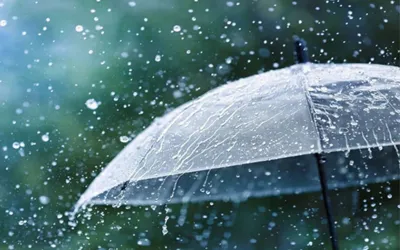 Pakistan Weather Forecast: Braces for Wind, Thunderstorms, and Rain!
