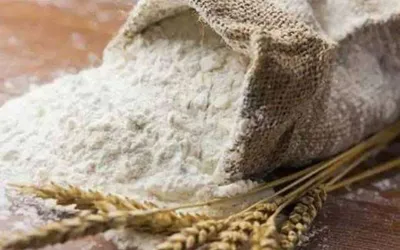 20 kg Flour bag price big drop in Punjab