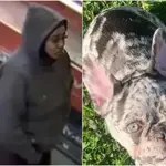Who is Dognapper Sadie Slater? Age, Parents & Boyfriend