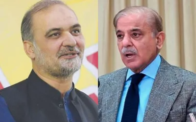 PM, JI Ameer discuss public relief in electricity prices, Palestine