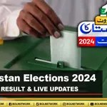 PP-133 Election Result 2024 NANKANA SAHIB II | PP-133 NANKANA SAHIB 2 Election Result 2024