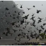 Latest weather update Lahore, Punjab