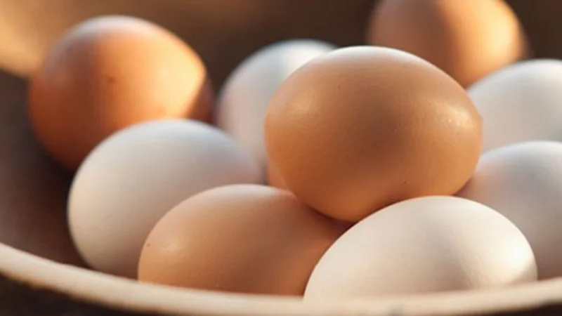 Egg prices drop in Pakistan
