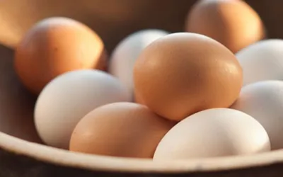 Egg price big drops in Pakistan