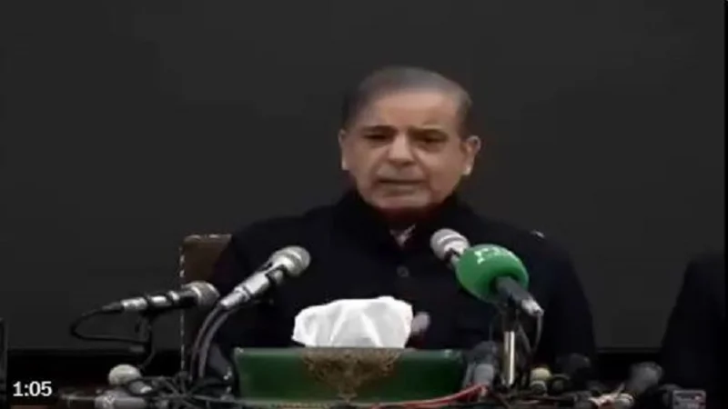 Shehbaz says PML-N ready to sit in opposition if Independents show majority in NA