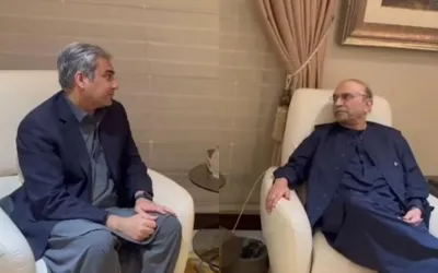 Naqvi briefs President Zardari on India’s irresponsible conduct
