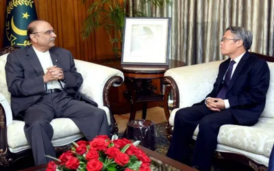 President Zardari, Chinese envoy discuss India-Pakistan situation