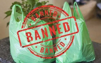 Sindh bans plastic bags from June 15