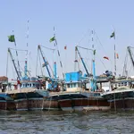 Pakistan imposes ban on fishing in sea amid India-Pakistan tension